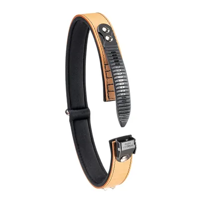 Ferplast Collier en véritable cuir avec clous décoratifs et GIOTTO LUXOR