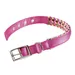 Ferplast Collier à chiens avec un rembourrage moelleux et DAYTONA FANTASY