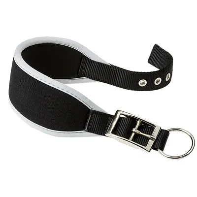 Ferplast Gepolstertes Halsband für Windhunde. Verschiedene ERGOCOMFORT CW