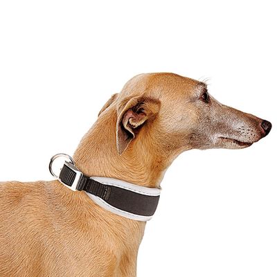Ferplast Collier rembourré pour lévriers. Tailles variées. ERGOCOMFORT CW