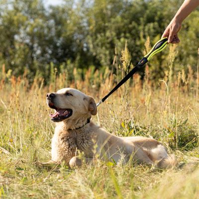 Ferplast Collier pour chien avec un rembourrage doux et une ERGOFLUO C