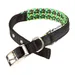 Ferplast Collier à chiens avec un rembourrage moelleux et DAYTONA FANTASY
