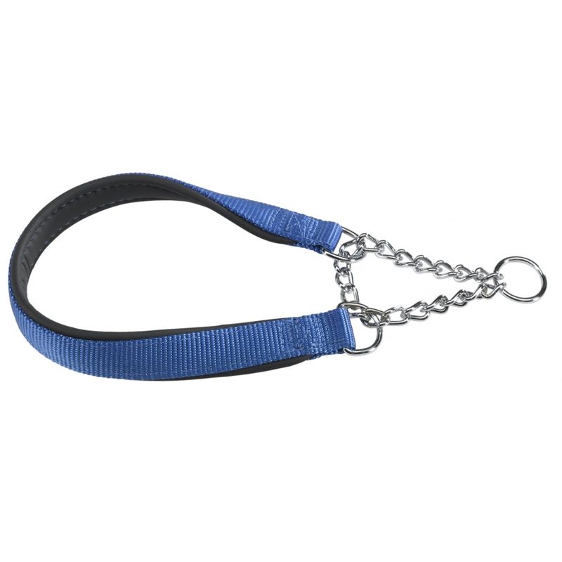 Ferplast Collier semi-étrangleur avec rembourrage moelleux. DAYTONA CSS