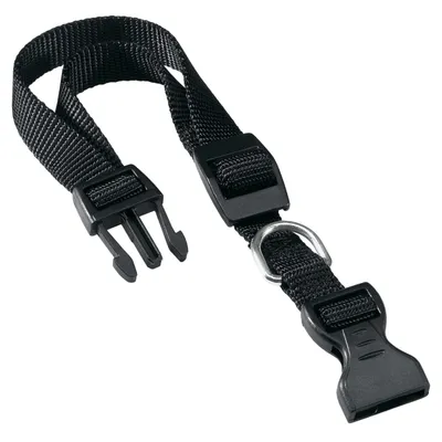 Ferplast Collier en nylon pour chiens, de différentes CLUB C
