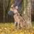 Ferplast Collier pour chiens avec rembourrage moelleux et ERGOFLUO C Ferplast Collier pour chiens avec rembourrage moelleux et ERGOFLUO C