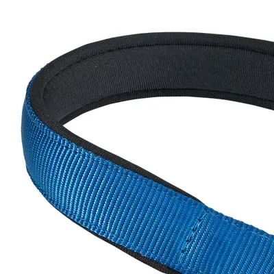 Ferplast Collier semi-étrangleur avec rembourrage moelleux. DAYTONA CSS
