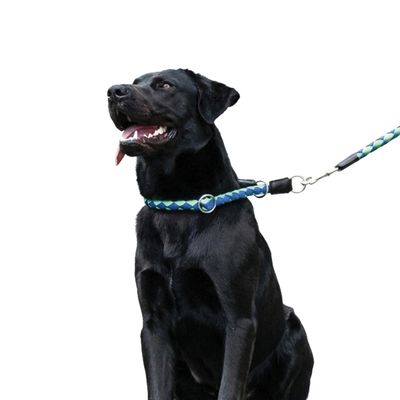 Ferplast Collier semi-étrangleur en cordon nylon tressé. TWIST CS