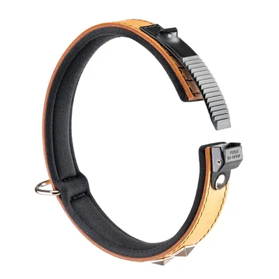 Ferplast Collier en véritable cuir avec clous décoratifs et GIOTTO LUXOR