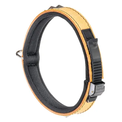 Ferplast Collier en véritable cuir avec clous décoratifs et GIOTTO LUXOR