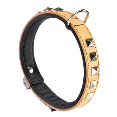 Ferplast Collier en véritable cuir avec clous décoratifs et GIOTTO LUXOR Ferplast Collier en véritable cuir avec clous décoratifs et GIOTTO LUXOR