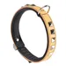 Ferplast Collier en véritable cuir avec clous décoratifs et GIOTTO LUXOR