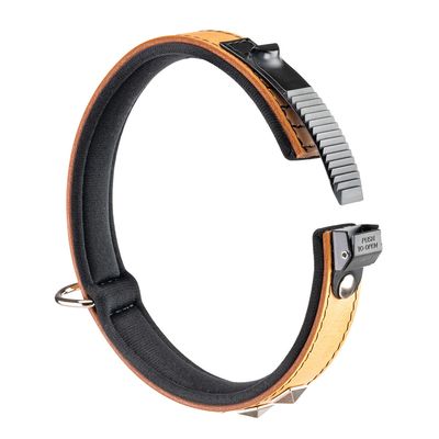 Ferplast Collier en véritable cuir avec clous décoratifs et GIOTTO LUXOR