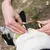 Ferplast Collier en polyester et PVC pour chien avec boucle EVOLUTION C Ferplast Collier en polyester et PVC pour chien avec boucle EVOLUTION C