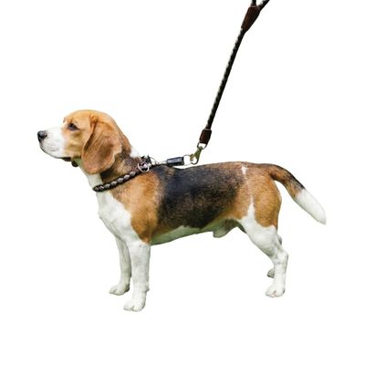 Ferplast Collier semi-étrangleur en cordon nylon tressé. TWIST CS