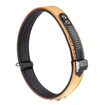 Ferplast Collier en véritable cuir avec clous décoratifs et GIOTTO LUXOR Ferplast Collier en véritable cuir avec clous décoratifs et GIOTTO LUXOR