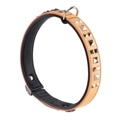 Ferplast Collier en véritable cuir avec clous décoratifs et GIOTTO LUXOR