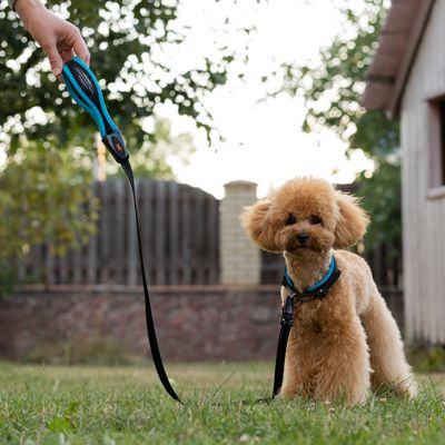 Ferplast Collier pour chiens avec rembourrage souple et ERGOFLUO C