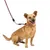 Ferplast Collier semi-étrangleur en cordon nylon tressé. TWIST CS Ferplast Collier semi-étrangleur en cordon nylon tressé. TWIST CS