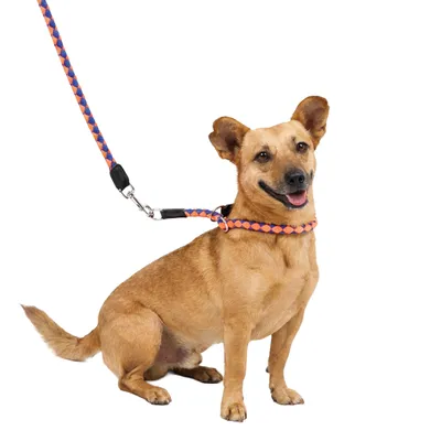 Ferplast Collier semi-étrangleur en cordon nylon tressé. TWIST CS Ferplast Collier semi-étrangleur en cordon nylon tressé. TWIST CS