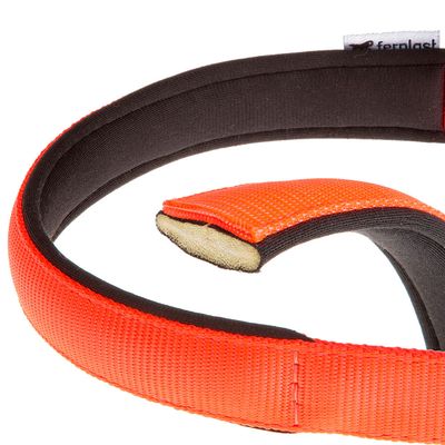 Ferplast Collier en nylon avec rembourrage doux - de DAYTONA C