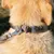 Ferplast Collier en nylon avec rembourrage doux - de DAYTONA C Ferplast Collier en nylon avec rembourrage doux - de DAYTONA C