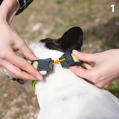 Ferplast Collier réfléchissant pour chiens avec boucle CLUB REFLEX C