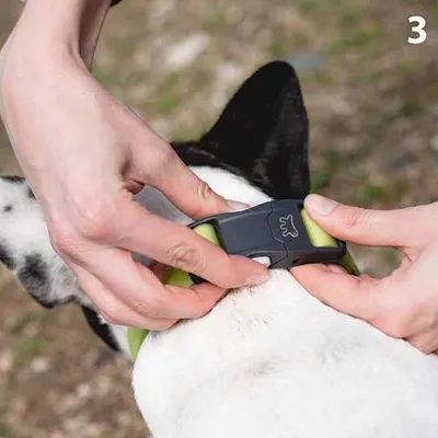 Ferplast Collier réfléchissant pour chiens avec boucle CLUB REFLEX C