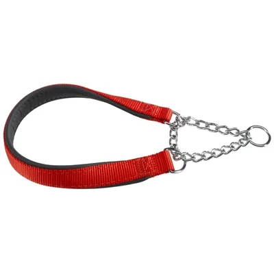 Ferplast Collier semi-étrangleur avec rembourrage moelleux. DAYTONA CSS