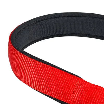 Ferplast Collier semi-étrangleur avec rembourrage moelleux. DAYTONA CSS