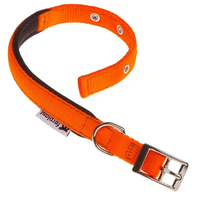Ferplast Collier en nylon avec rembourrage doux - de DAYTONA C Ferplast Collier en nylon avec rembourrage doux - de DAYTONA C