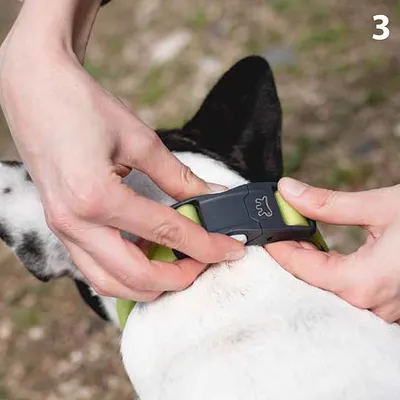Ferplast Collier en polyester et PVC pour chien avec boucle EVOLUTION C