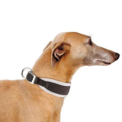 Ferplast Collier rembourré pour lévriers. Tailles variées. ERGOCOMFORT CW Ferplast Collier rembourré pour lévriers. Tailles variées. ERGOCOMFORT CW