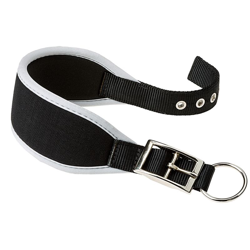 Ferplast Collier rembourré pour lévriers. Tailles variées. ERGOCOMFORT CW