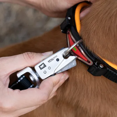 Ferplast Collier pour chiens avec rembourrage moelleux et ERGOFLUO C