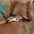 Ferplast Collier pour chiens avec rembourrage moelleux et ERGOFLUO C Ferplast Collier pour chiens avec rembourrage moelleux et ERGOFLUO C