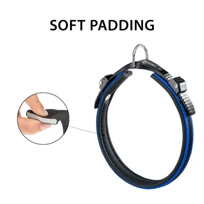 Ferplast Collier ergonomique avec micro-régulation - ERGOCOMFORT C