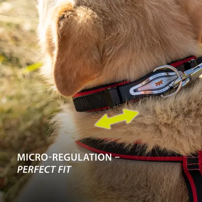 Ferplast Collier ergonomique avec micro-régulation - ERGOCOMFORT C Ferplast Collier ergonomique avec micro-régulation - ERGOCOMFORT C