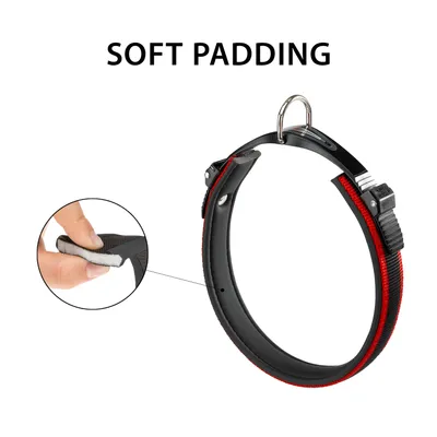 Ferplast Collier ergonomique avec micro-régulation - ERGOCOMFORT C