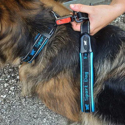 Ferplast Collier pour chiens avec rembourrage soft. SPORT DOG C Ferplast Collier pour chiens avec rembourrage soft. SPORT DOG C