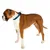 Ferplast Collier pour chiens avec rembourrage soft. SPORT DOG C