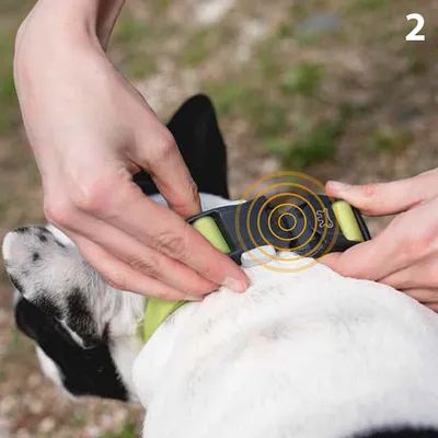 Ferplast Collier réfléchissant pour chiens avec boucle CLUB REFLEX C
