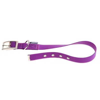 Ferplast Halsband aus Polyester und PVC für Hunde. EVOLUTION CF