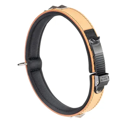 Ferplast Collier en véritable cuir avec clous décoratifs et GIOTTO LUXOR