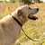 Ferplast Collier pour chiens avec rembourrage souple et ERGOFLUO C