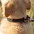 Ferplast Collier pour chiens avec rembourrage souple et ERGOFLUO C