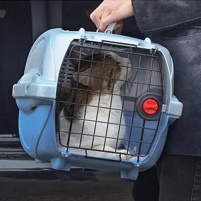 Ferplast Panier de transport pour chats et chiens de petite ATLAS DELUXE