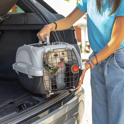Ferplast Panier de transport pour chats et chiens de petite ATLAS DELUXE