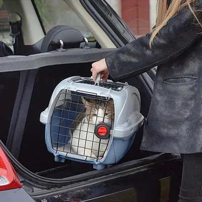 Ferplast Panier de transport pour chats et chiens de petite ATLAS DELUXE