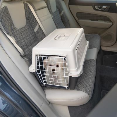 Ferplast Kunststofftransportbox für Katzen und kleine Hunde ATLAS EL