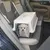 Ferplast Cage de transport en plastique Ferplast ATLAS 20 ATLAS EL